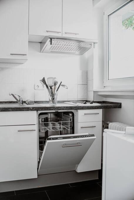 Wiesbaden - Apartment Im Nerotal 외부 사진